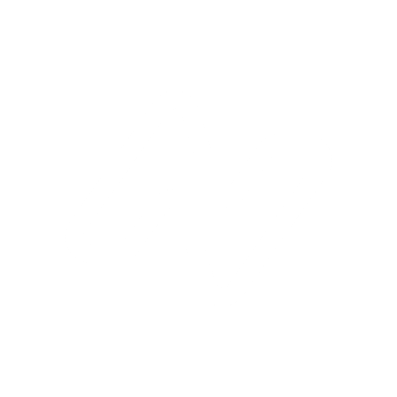 A3ON Logo Branco